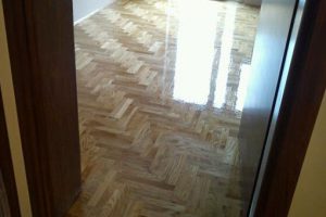 Dvostruka riblja kost